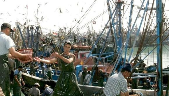اتفاق الصيد البحري بين الإتحاد الأوروبي والمغرب: التشديد على ضرورة احترام قرارات محكمة العدل الأوروبية