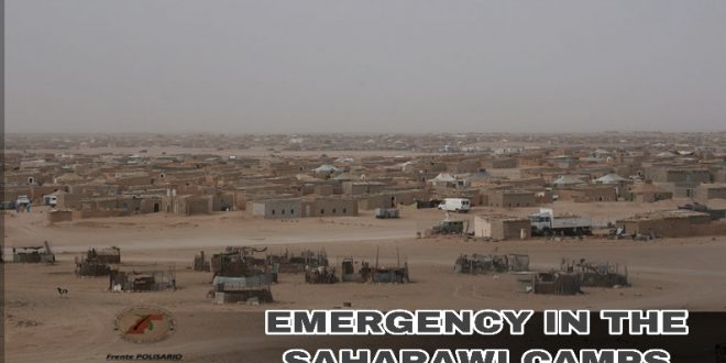 منظمات وطنية ودولية تشدد على أهمية رفع مستوى العمل والتنسيق لتوفير الحاجيات الأساسية للاجئين الصحراويين في مواجهة أثار جائحة كورونا