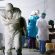 فيروس كورونا: المغرب يسجل أعلى حصيلة إصابات خلال يوم واحد منذ ظهور الوباء