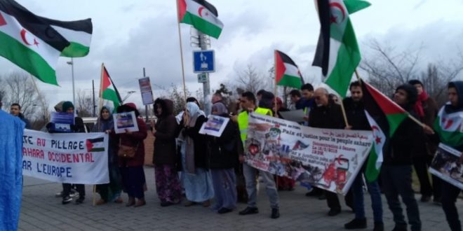 متظاهرون صحراويون يطالبون البرلمان الأوروبي بتصحيح أخطاء المفوضية الأوروبية في حق الشعب الصحراوي