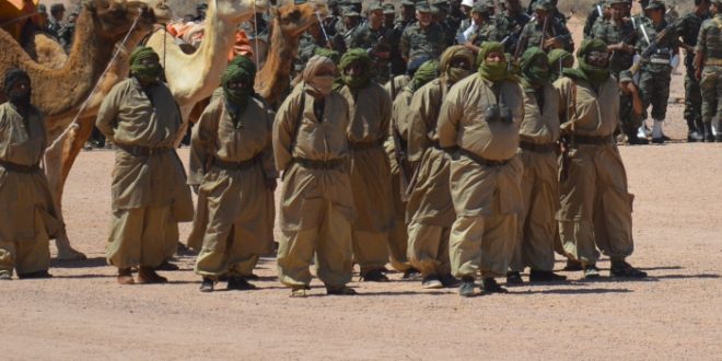 الشعب الصحراوي يحتفل بالذكرى السادسة والأربعين لاندلاع الكفاح المسلح