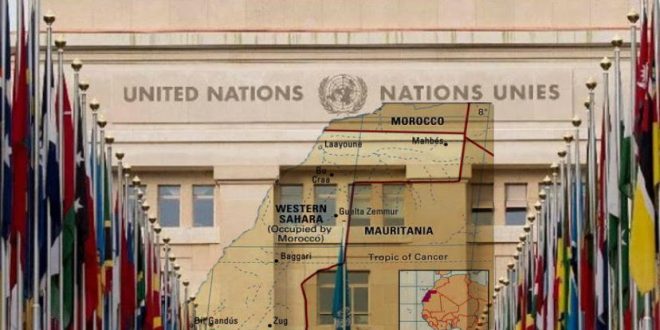منظمة فرنسية تدعو آليات الأمم المتحدة لحقوق الإنسان إيلاء إهتمام خاص للإنتهاكات الممنهجة لحقوق الشعب الصحراوي